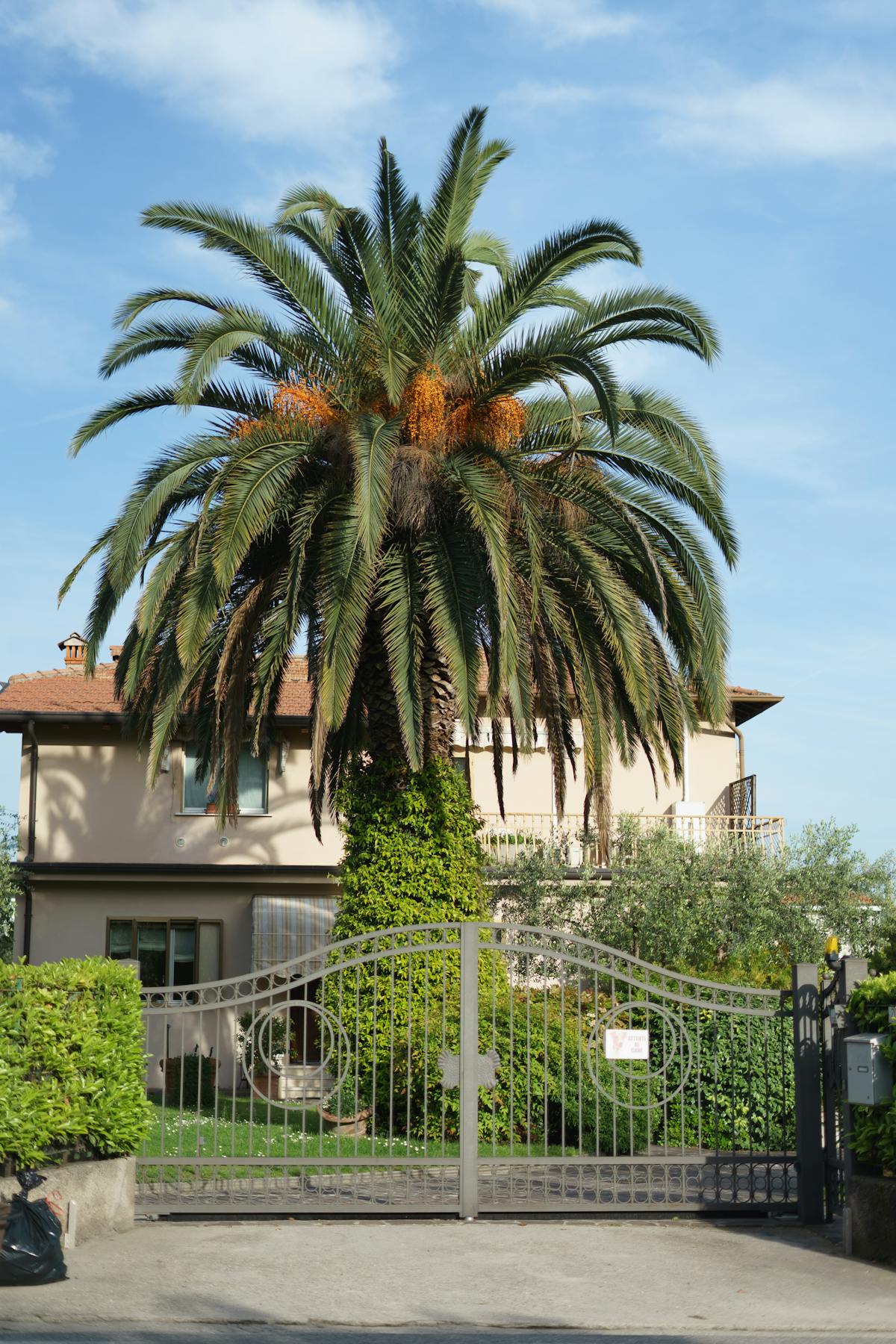 Jardin luxuriant sur la Côte d'Azur à Cagnes-sur-Mer