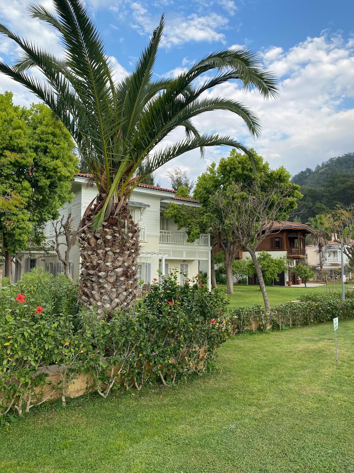 Jardin méditerranéen avec palmiers à Cagnes-sur-Mer